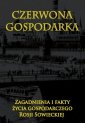 okładka książki - Czerwona gospodarka. Zagadnienia