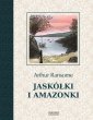 okładka książki - Jaskółki i Amazonki