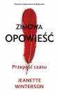 okładka książki - Zimowa opowieść. Przepaść czasu