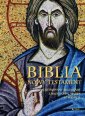 okładka książki - Biblia. Nowy Testament ilustrowany