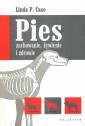 okładka książki - Pies zachowanie, żywienie i zdrowie