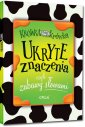 okładka książki - Ukryte znaczenia, czyli zabawy