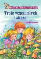 okładka książki - Troje wspaniałych i skrzat