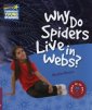 okładka książki - Why Do Spiders Live in Webs? Level