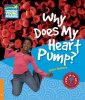 okładka podręcznika - Why Does My Heart Pump? 6 Factbook