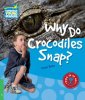 okładka podręcznika - Why Do Crocodiles Snap? 3 Factbook