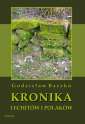 okładka książki - Kronika Lechitów i Polaków, napisana