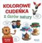 okładka książki - Kolorowe cudeńka z darów natury