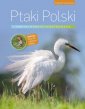 okładka książki - Ptaki Polski. Encyklopedia ilustrowana