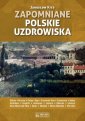 okładka książki - Zapomniane polskie uzdrowiska