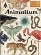 okładka książki - Animalium