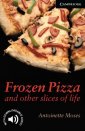 okładka książki - Frozen Pizza and Other Slices of