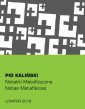 okładka książki - Notatki metafizyczne