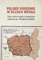 okładka książki - Polskie podziemie w oczach wroga.