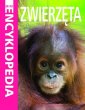 okładka książki - Mini Encyklopedia. Zwierzęta