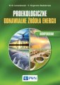 okładka książki - Proekologiczne odnawialne źródła