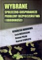 okładka książki - Wybrane społeczno-gospodarcze problemy