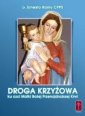 okładka książki - Droga Krzyżowa ku czci Matki Bożej