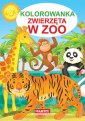 okładka książki - Kolorowanka. Zwierzęta w zoo