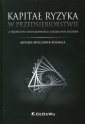 okładka książki - Kapitał ryzyka w przedsiębiorstwie.