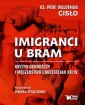 okładka książki - Imigranci u bram. Kryzys uchodźczy