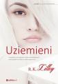 okładka książki - Uziemieni. Seria: W Przestworzach