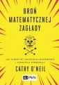 okładka książki - Broń matematycznej zagłady. Jak