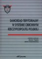 okładka książki - Samorząd terytorialny w systemie