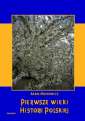 okładka książki - Pierwsze wieki historii polskiej