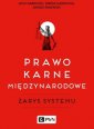 okładka książki - Prawo karne międzynarodowe