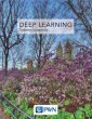 okładka książki - Deep Learning. Współczesne systemy