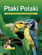 okładka książki - Ptaki Polski. Mała encyklopedia