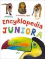 okładka książki - Słownik juniora