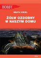 okładka książki - Żółw ozdobny w naszym domu. Seria: