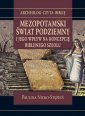 okładka książki - Mezopotamski świat podziemny i