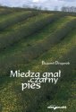 okładka książki - Miedzą gnał czarny pies