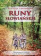 okładka książki - Runy słowiańskie