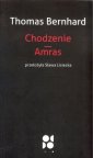 okładka książki - Chodzenie Amras