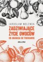 okładka książki - Zadziwiające życie owoców. Od ananasa