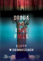 okładka książki - Droga do Lake Falls. Szepty w ciemnościach