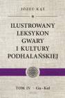 okładka książki - Ilustrowany leksykon gwary i kultury