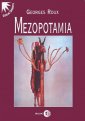 okładka książki - Mezopotamia. Seria: Dzieje Orientu