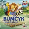 okładka książki - Bumcyk i jego drużyna. Przygód