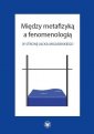 okładka książki - Między metafizyką a fenomenologią.