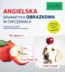 okładka podręcznika - Angielska Gramatyka obrazkowa w