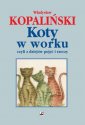 okładka książki - Koty w worku, czyli z dziejów pojęć