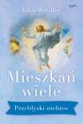 okładka książki - Mieszkań wiele. Przebłyski niebios