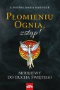 okładka książki - Płomieniu Ognia, zstąp!