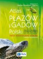 okładka książki - Atlas płazów i gadów Polski. Status