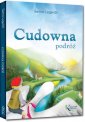 okładka książki - Cudowna podróż